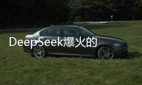 DeepSeek爆火的啟示