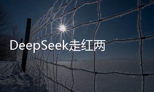 DeepSeek走紅兩會，神秘回應(yīng)背后的故事