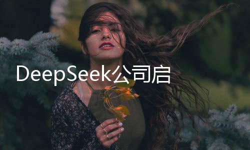 DeepSeek公司啟動(dòng)實(shí)習(xí)生招募計(jì)劃，日薪最高達(dá)上千，開啟全新實(shí)習(xí)體驗(yàn)篇章