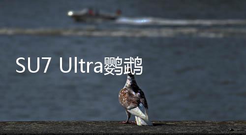 SU7 Ultra鸚鵡綠官圖發(fā)布，今晚上市，引領(lǐng)科技新潮流