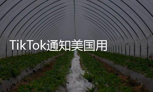 TikTok通知美國用戶將暫停服務(wù)，一項(xiàng)決策的背后及其深遠(yuǎn)影響分析