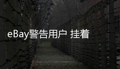 eBay警告用戶 掛著5090顯卡賣的多數(shù)都是照騙
