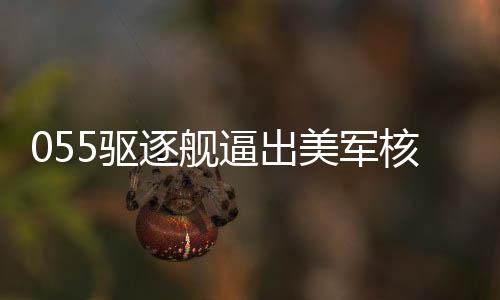 055驅(qū)逐艦逼出美軍核潛艇系謠言，揭秘真相與軍事謠言應(yīng)對之道