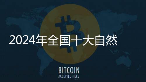 2024年全國(guó)十大自然災(zāi)害發(fā)布