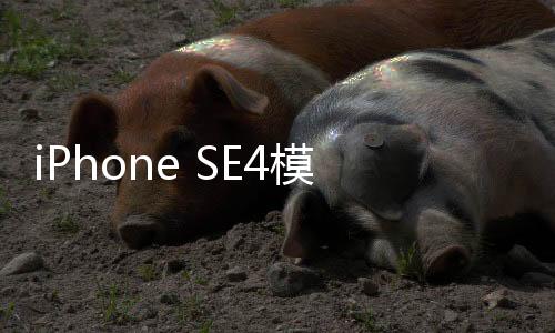 iPhone SE4模型機上手展示